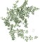 rtificial Rose Green Leaf Garland Greenery Vine for DIY Wedding Head Table Welcome Sign Table Centerpieces Candle Ring Fireplace Plant Leaves Garland Decor